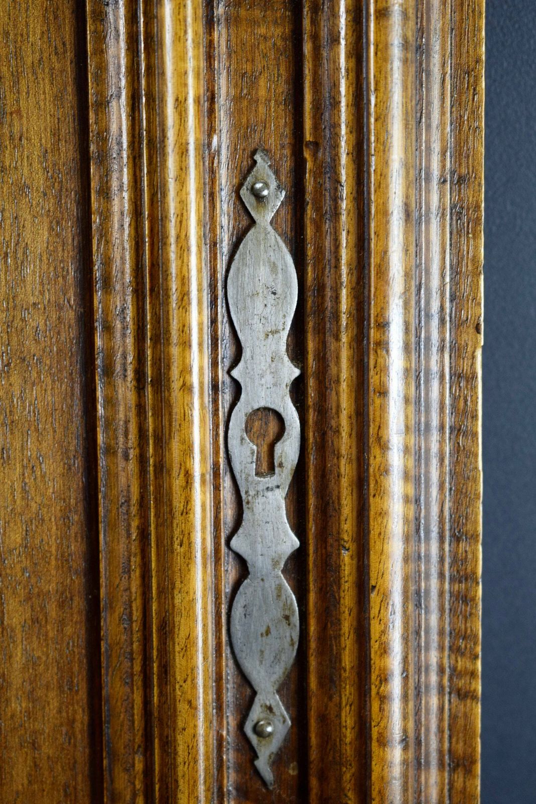 French Antique Gothic Hand Carved Wood Cupboard Door 19th photo vinterior
