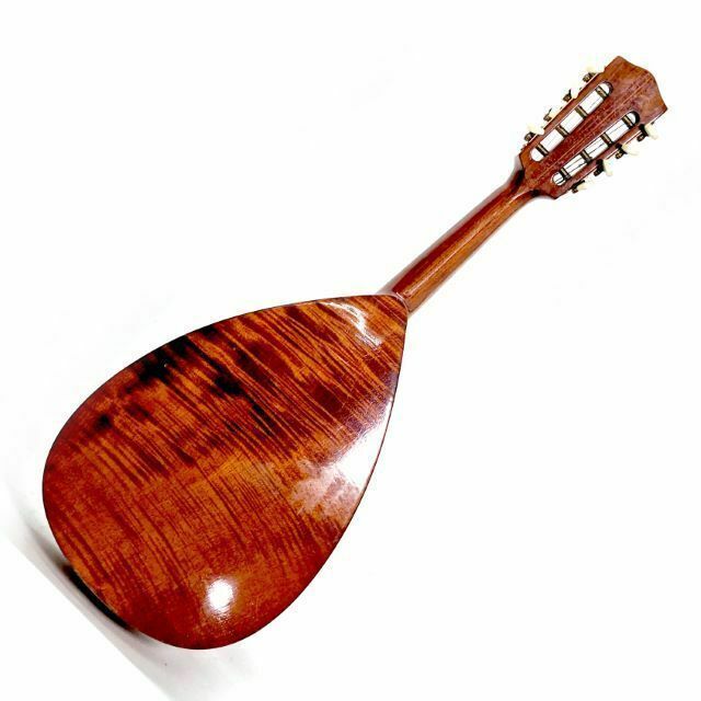 photo vinterior 1900 Period Mandolins To Restore