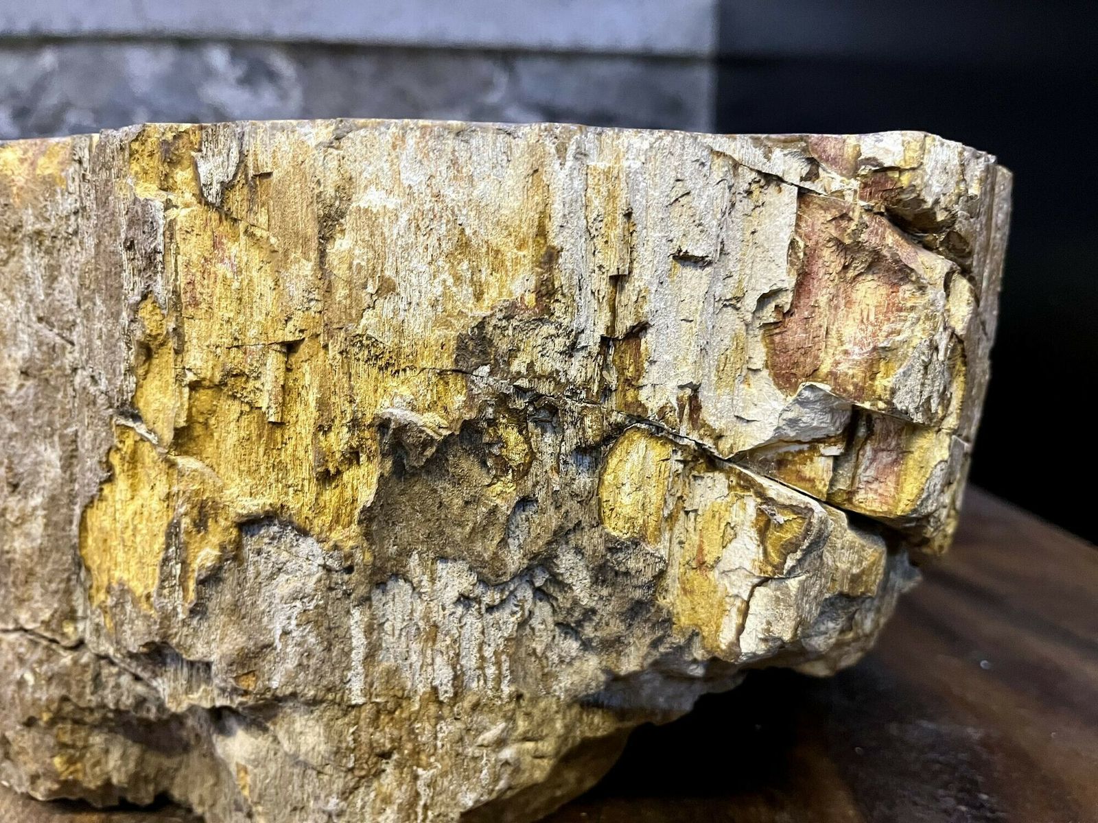 Home Decor Contemporary Petrified Wood Sink In Beige/ Brown/ Yellow And Pink Tones, 2024 photo