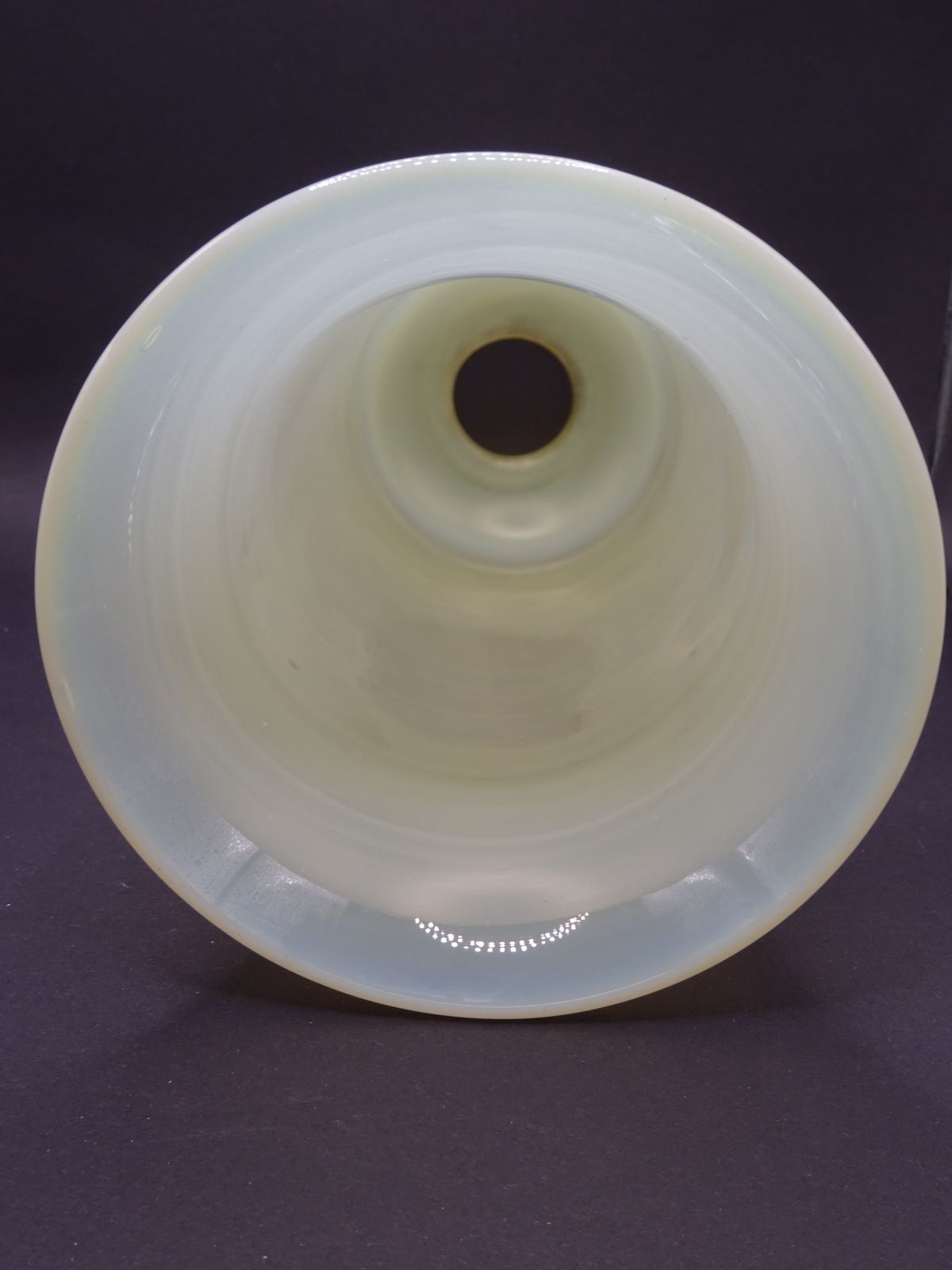 Late 1800/Early 1900s Frosted Uranium Glass Light Shade photo 130.0