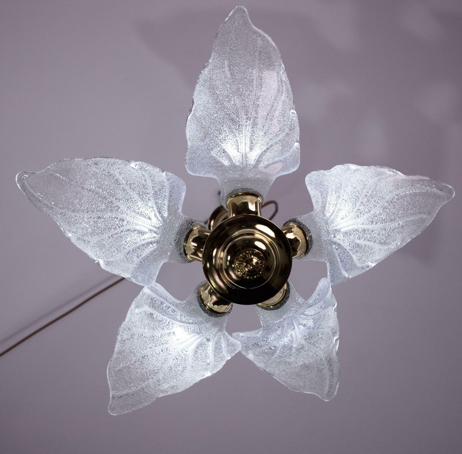 Elegant Murano Chandelier With 5 Leaves In Grit photo vintage
