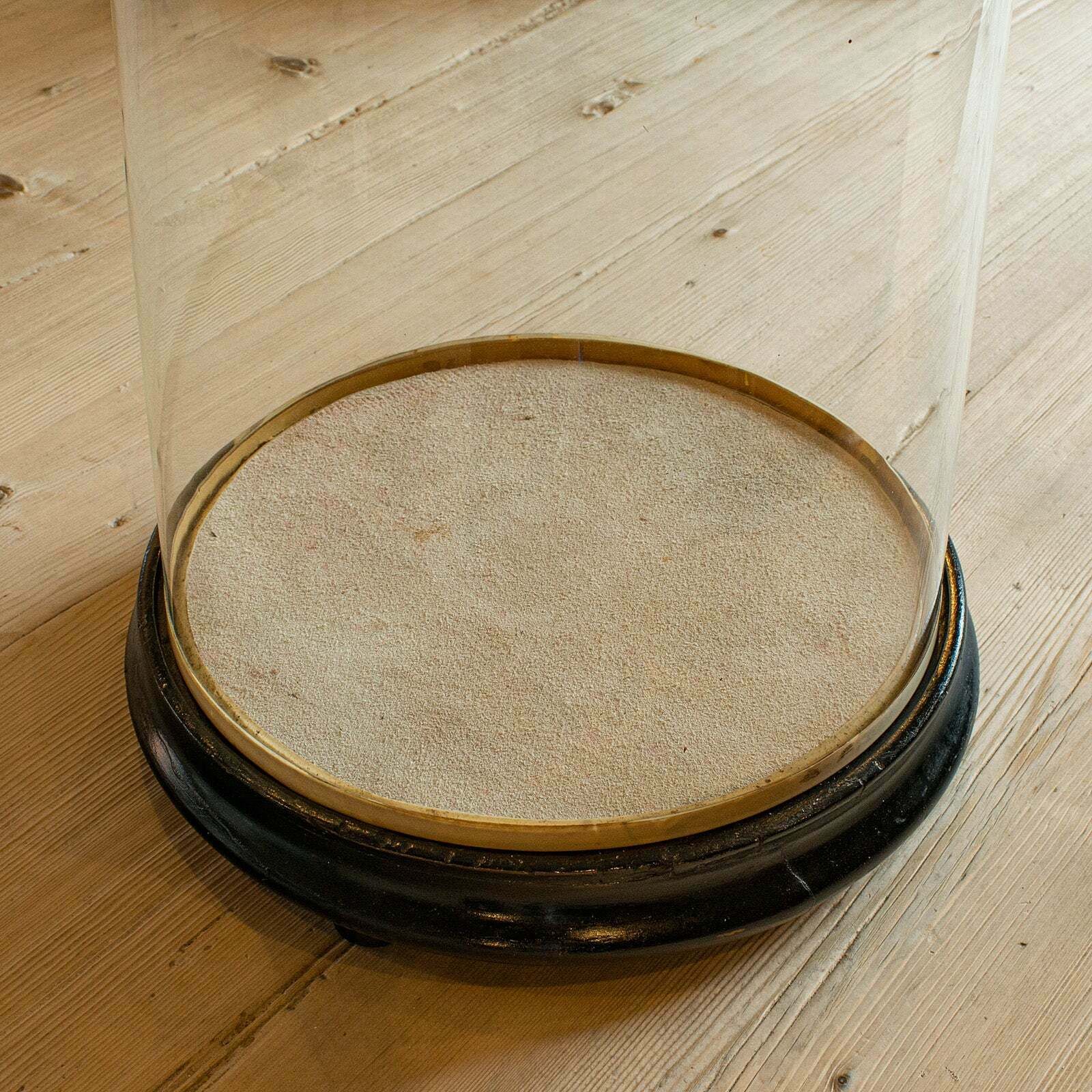 Tall Antique Professor's Specimen Dome, English, Glass, Taxidermy, Victorian photo vinterior
