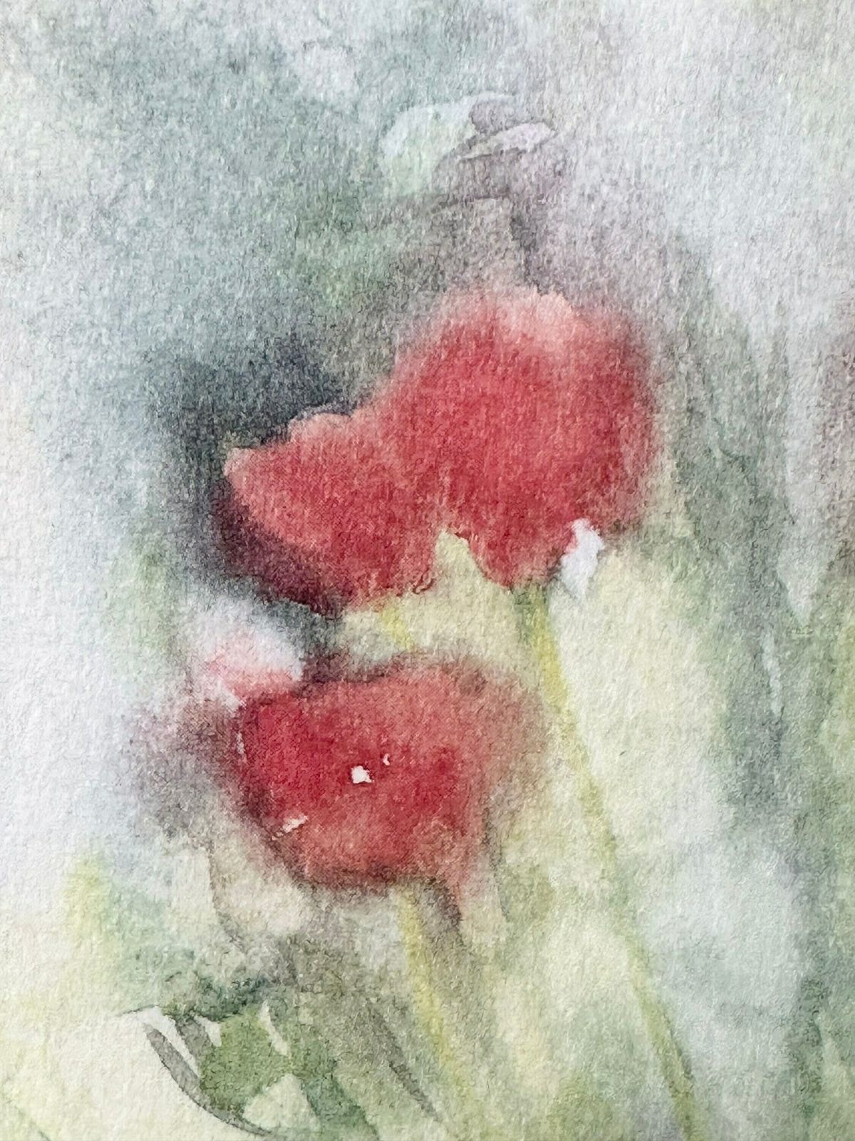 Framed Abstract Floral Print, Gillian Mcdonald Limited Edition Tulips Print photo 50.0