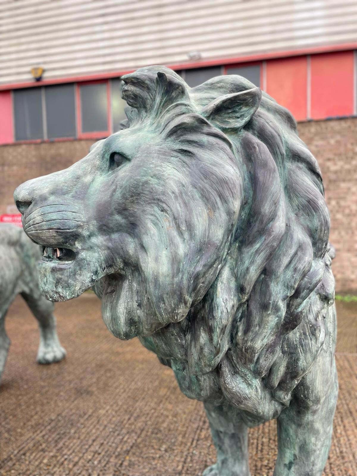 Huge, Pair Of Antique Bronze Lions From Italy photo vinterior