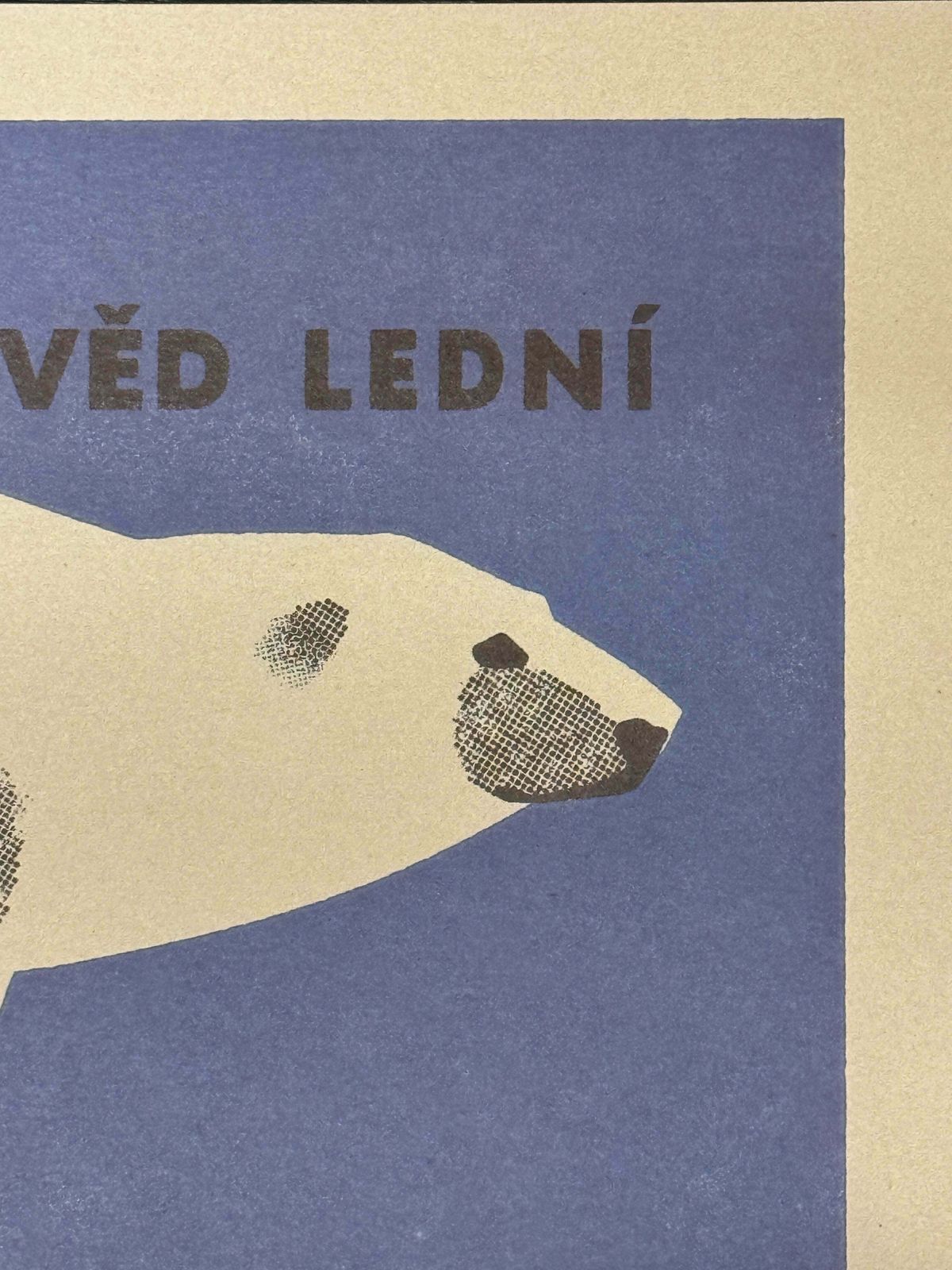Limited Edition Czech Match Box Art Poster 85 Of 240 Zoo Praha Polar Bear photo vinterior