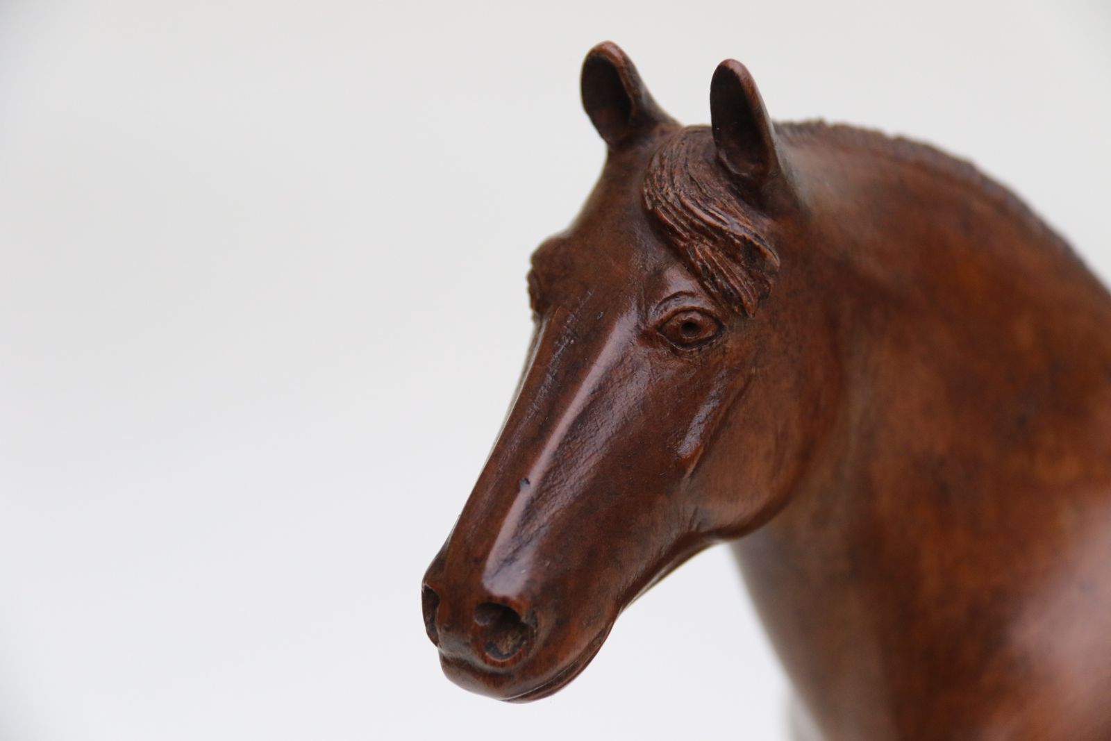Home Decor An  English Hand Carved Study Of A Belgian Draught Horse Stallion, Circa 1930 photo