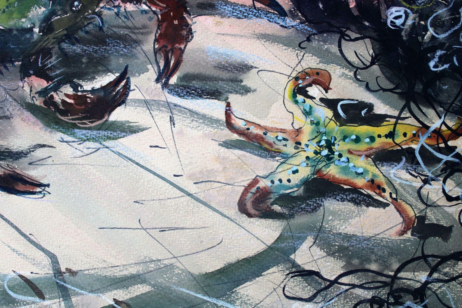photo vinterior Janis Brekte Crab. 1971, Watercolor On Paper