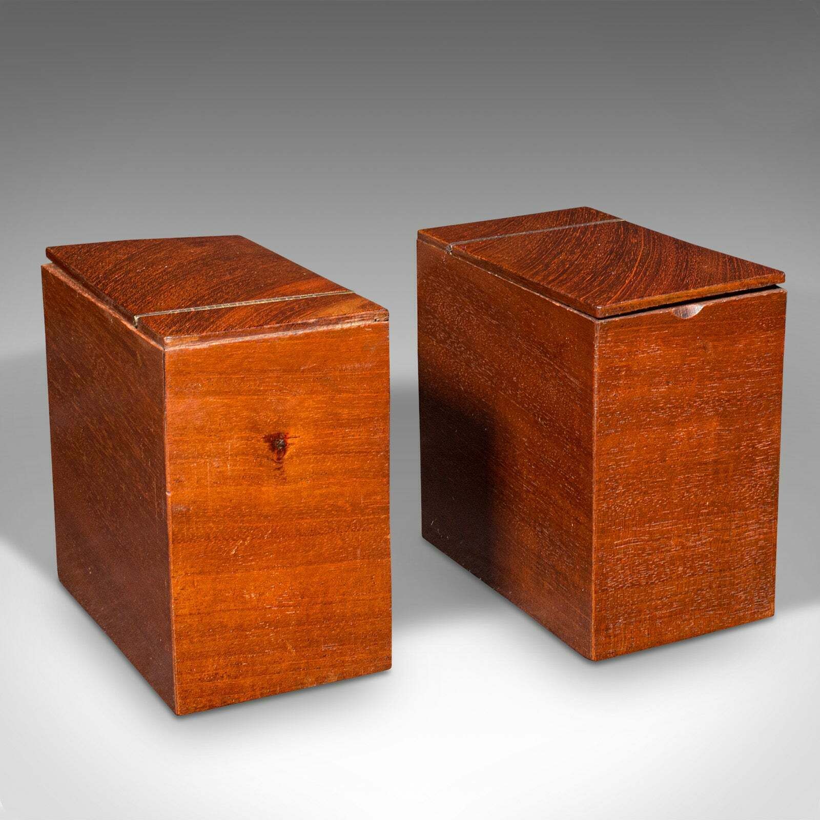 1295.0 Antique Drawing Room Tea Caddy, English, Flame, Sarcophagus, Regency, Circa 1820 photo