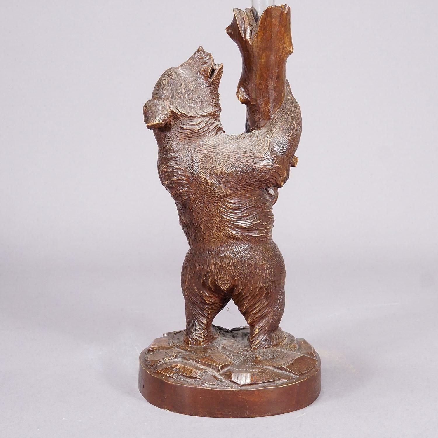 A Wooden Carved Black Forest Bear With Glass Vase Ca. 1900s