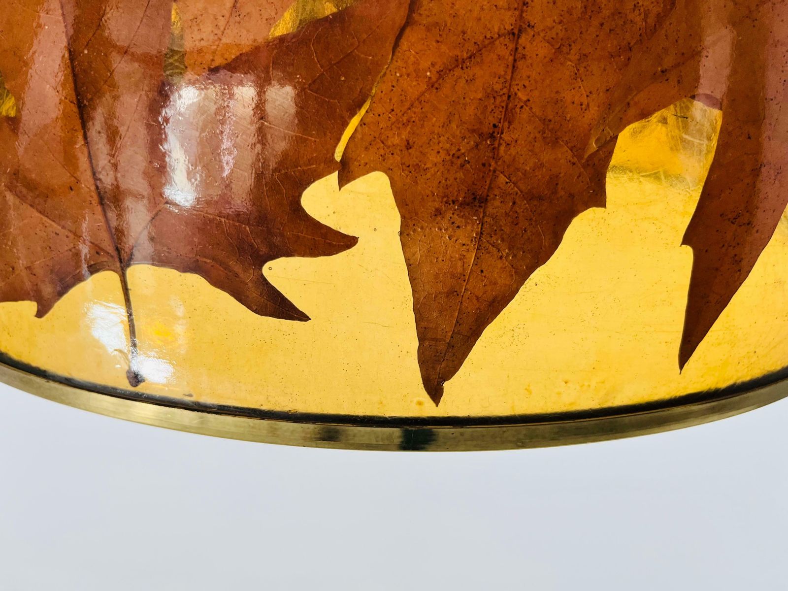 Acrylic Glass Pendant Lamp With Leaves And Brass Base, Germany, 1970s photo buy