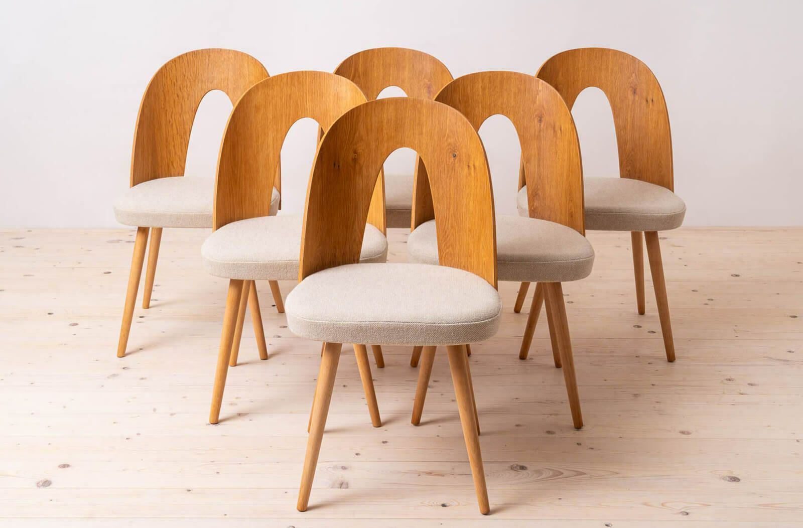 Set Of 10 Mid Century Dining Chairs By A.šuman, 1960s, Customizable Upholstery Available photo Furniture