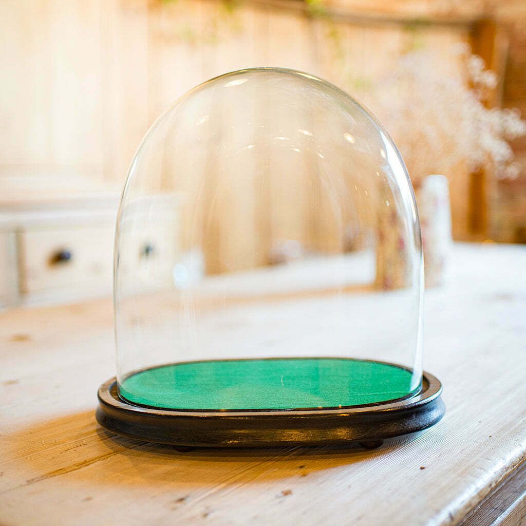 Wide Antique Clock Dome, English, Glass, Pine, Display Showcase, Victorian, 1860