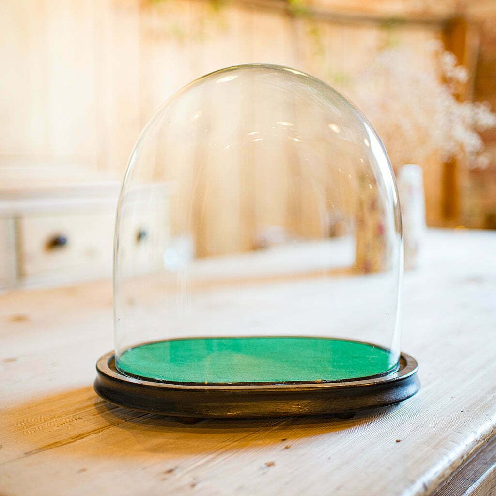 Wide Antique Clock Dome, English, Glass, Pine, Display Showcase, Victorian, 1860 photo for sale