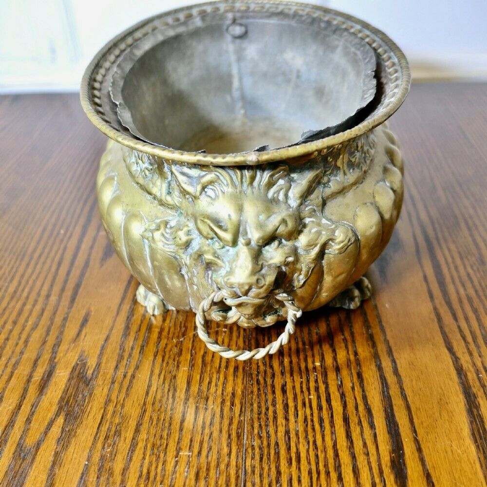 Gothic Brass Jardiniere With Lions Mask Handles And Liner photo Home Decor