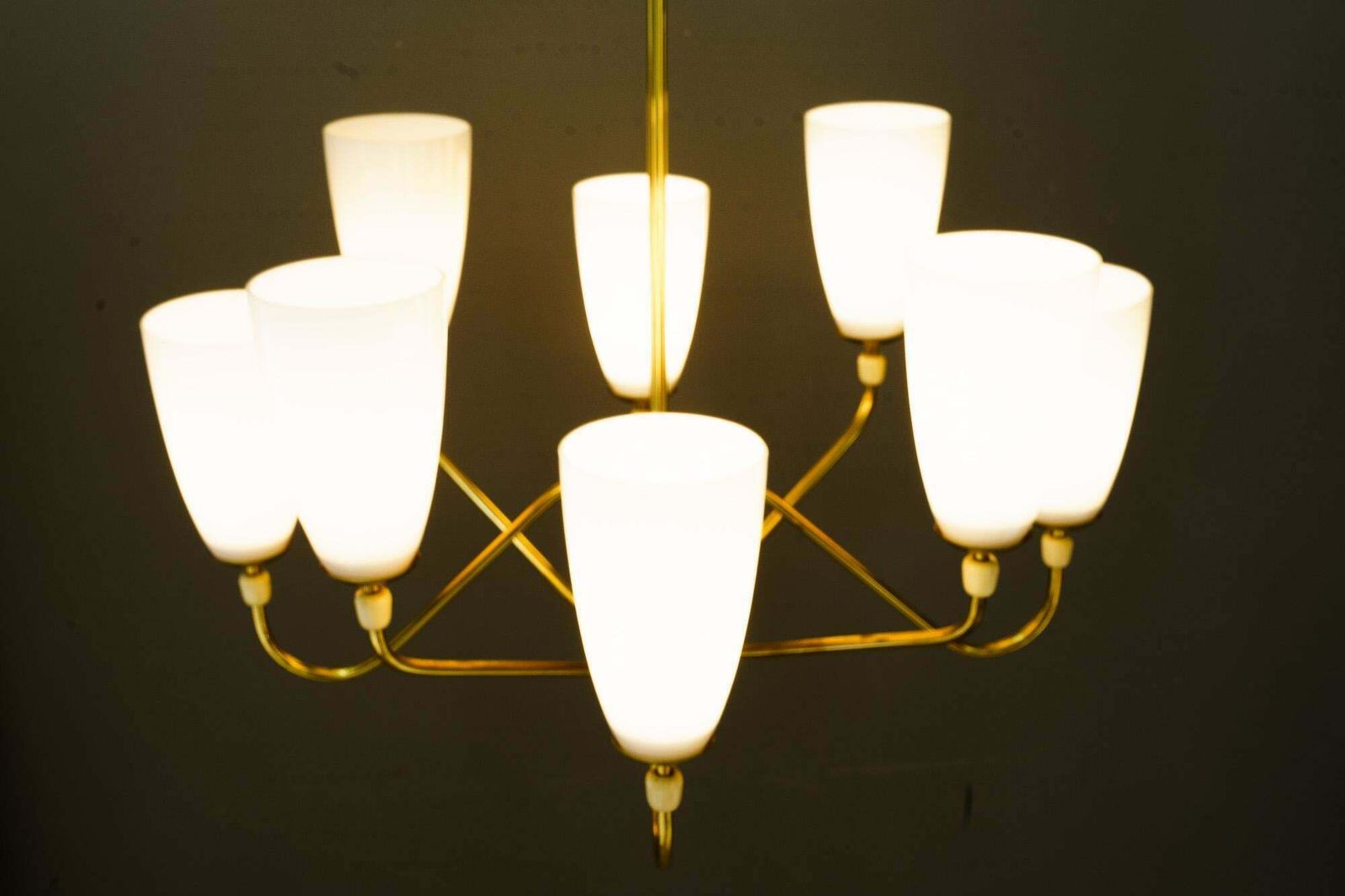 2768.0 8 Light Rupert Nikoll Chandelier Vienna Around 1960s photo
