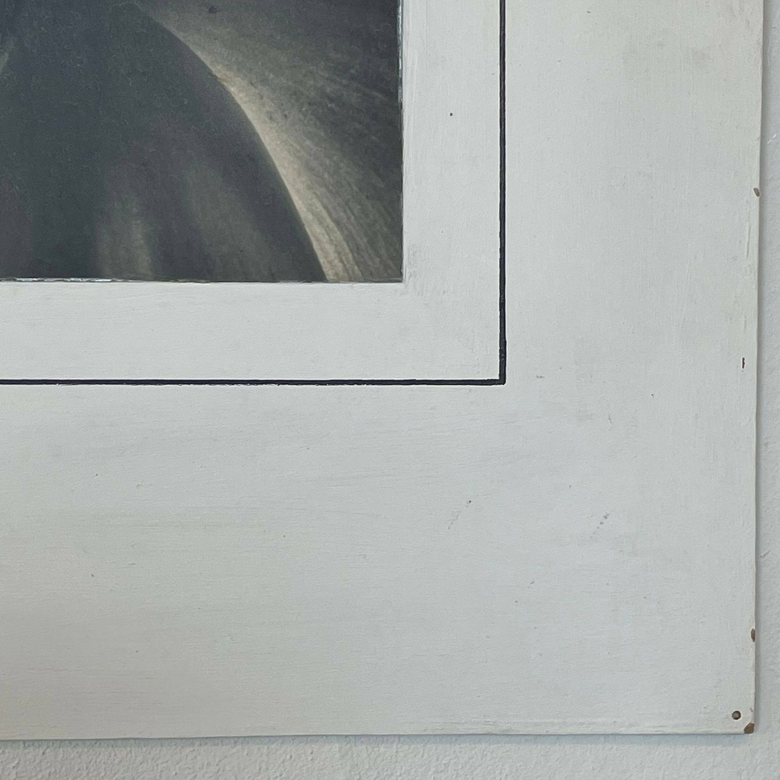 Danish Vintage Mid Century Large Scale Fine Art Photography From The 1940’s By Artist Aage Lillesøe With Motive Of Tulip Flower photo vinterior