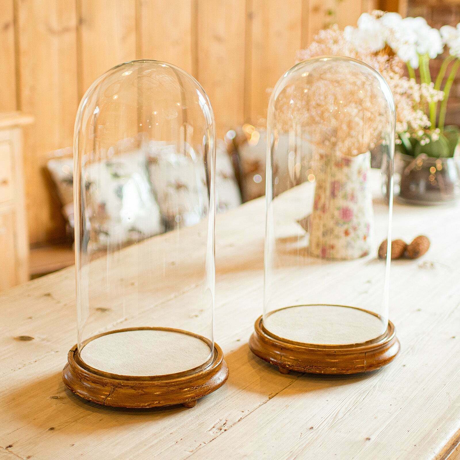 Pair Of Antique Display Domes, English, Glass, Taxidermy Showcase, Victorian