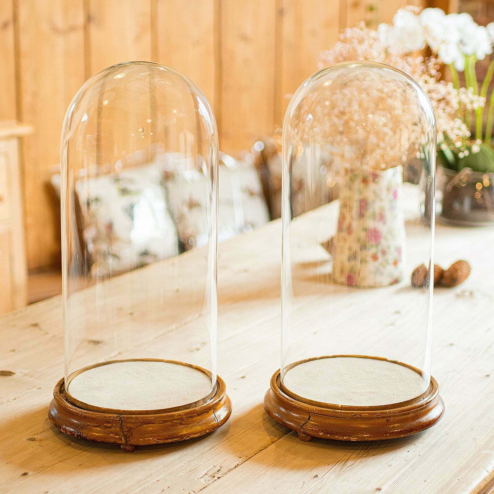 Pair Of Antique Display Domes, English, Glass, Taxidermy Showcase, Victorian photo for sale