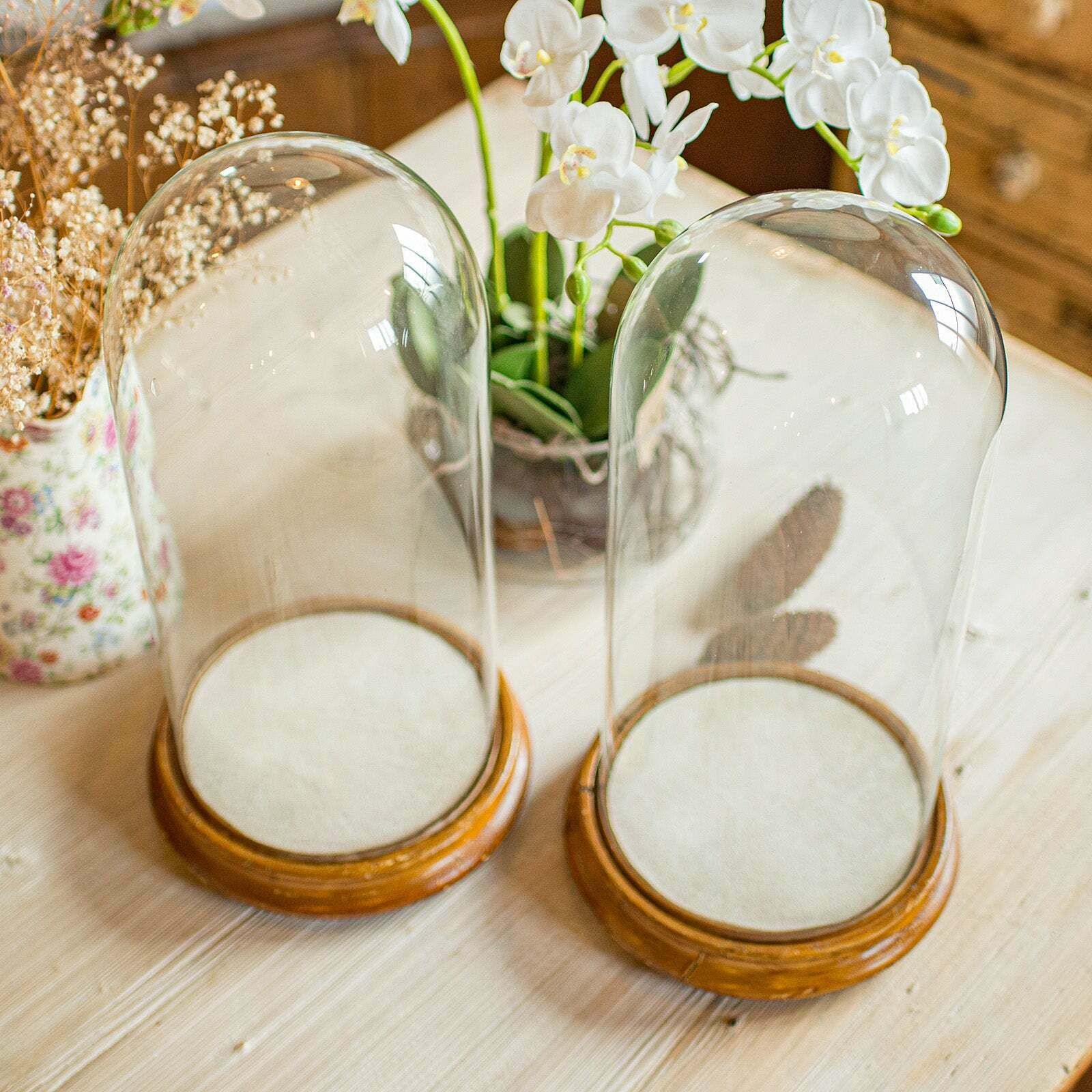 photo furniture Pair Of Antique Display Domes, English, Glass, Taxidermy Showcase, Victorian