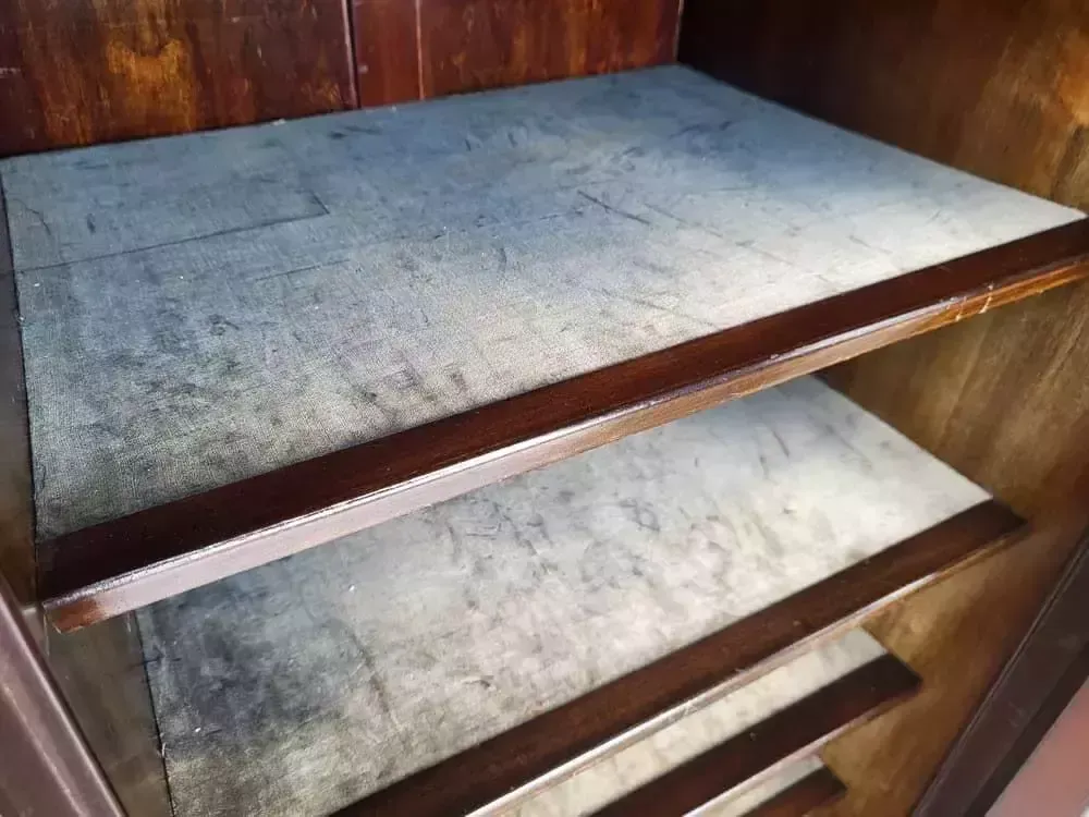 Antique Edwardian Glazed Music Cabinet Bookcase Cabriole Legs Castors Shelves photo Furniture