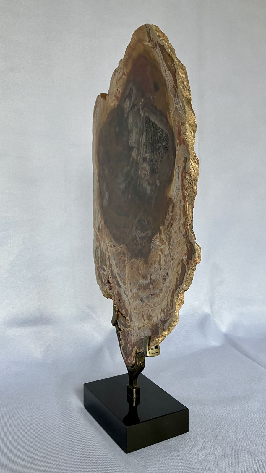 A Large Fossilised Or Petrified Wood Specimen, Polished And Mounted On A Bespoke Stand, Circa 120 To 240 Million Years Old photo vinterior