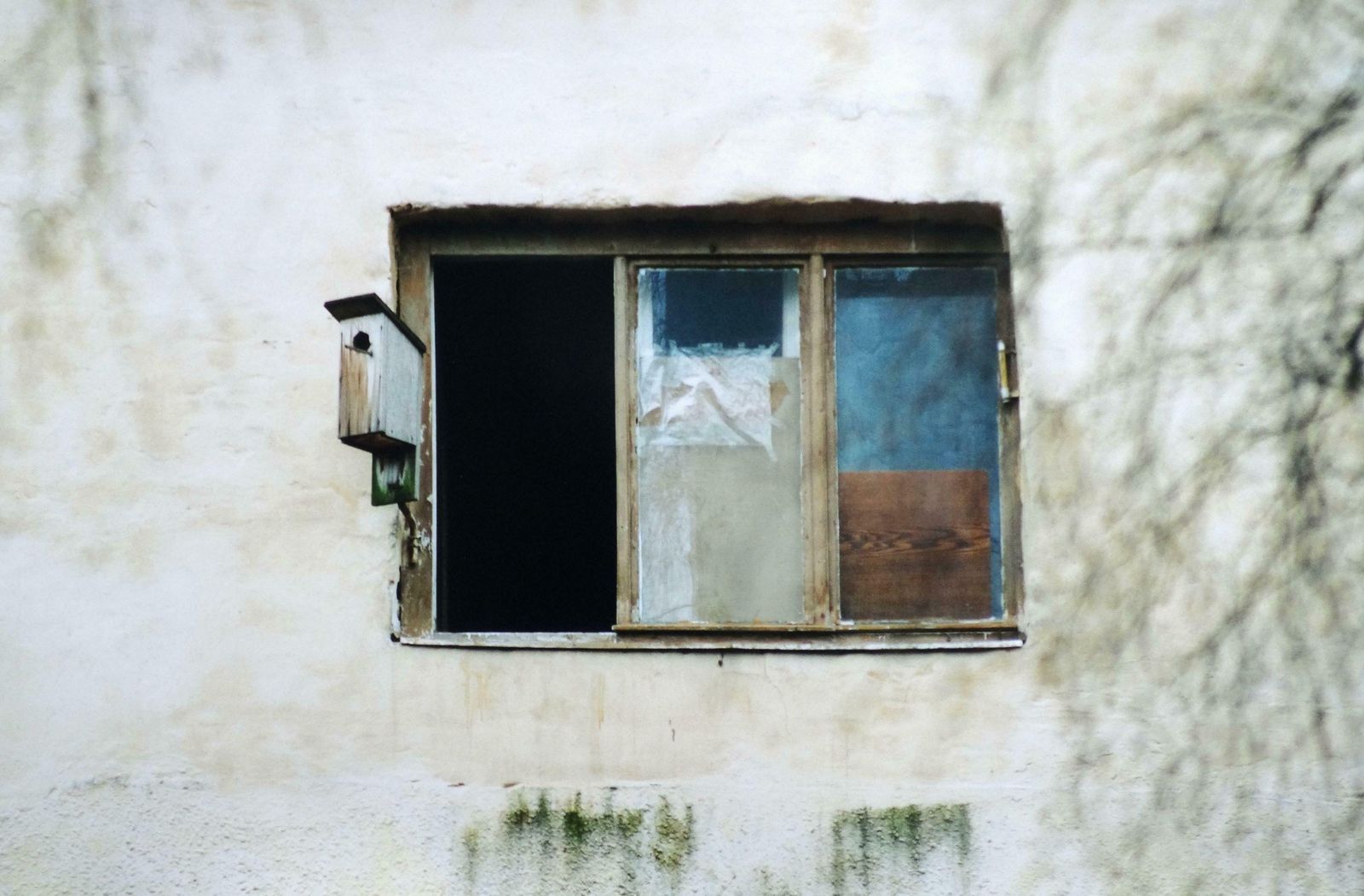 Atis Ievins Bird House. Photography,