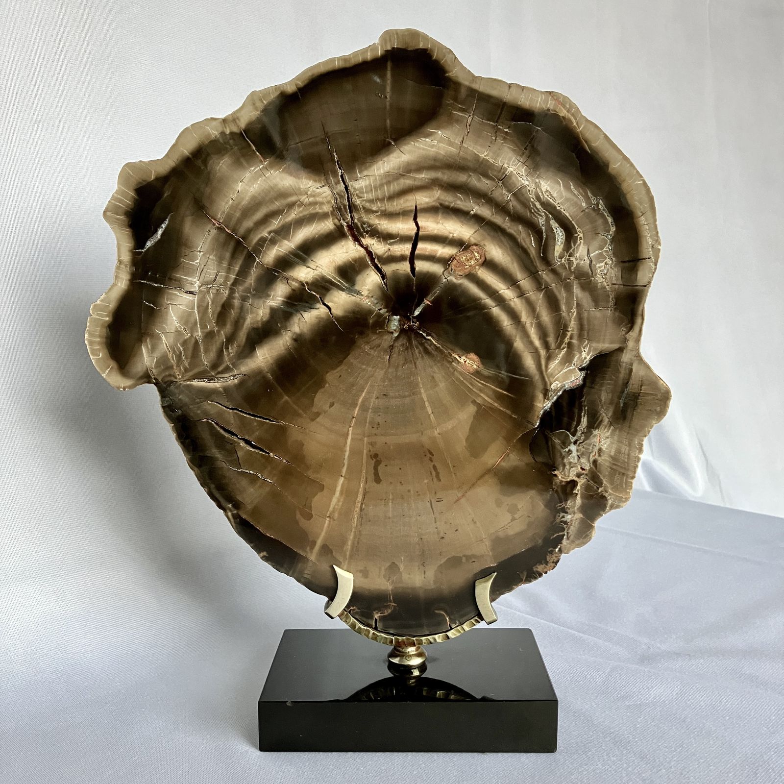 A Large Fossilised Or Petrified Wood Specimen, Polished And Mounted On A Bespoke Stand, Circa 120 To 240 Million Years Old