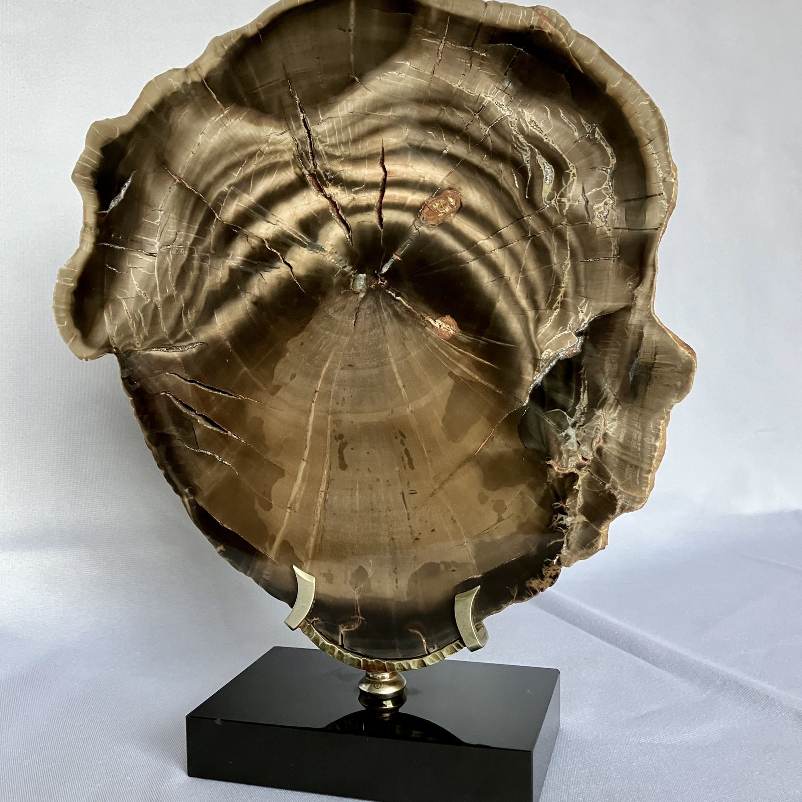 A Large Fossilised Or Petrified Wood Specimen, Polished And Mounted On A Bespoke Stand, Circa 120 To 240 Million Years Old photo Home Decor