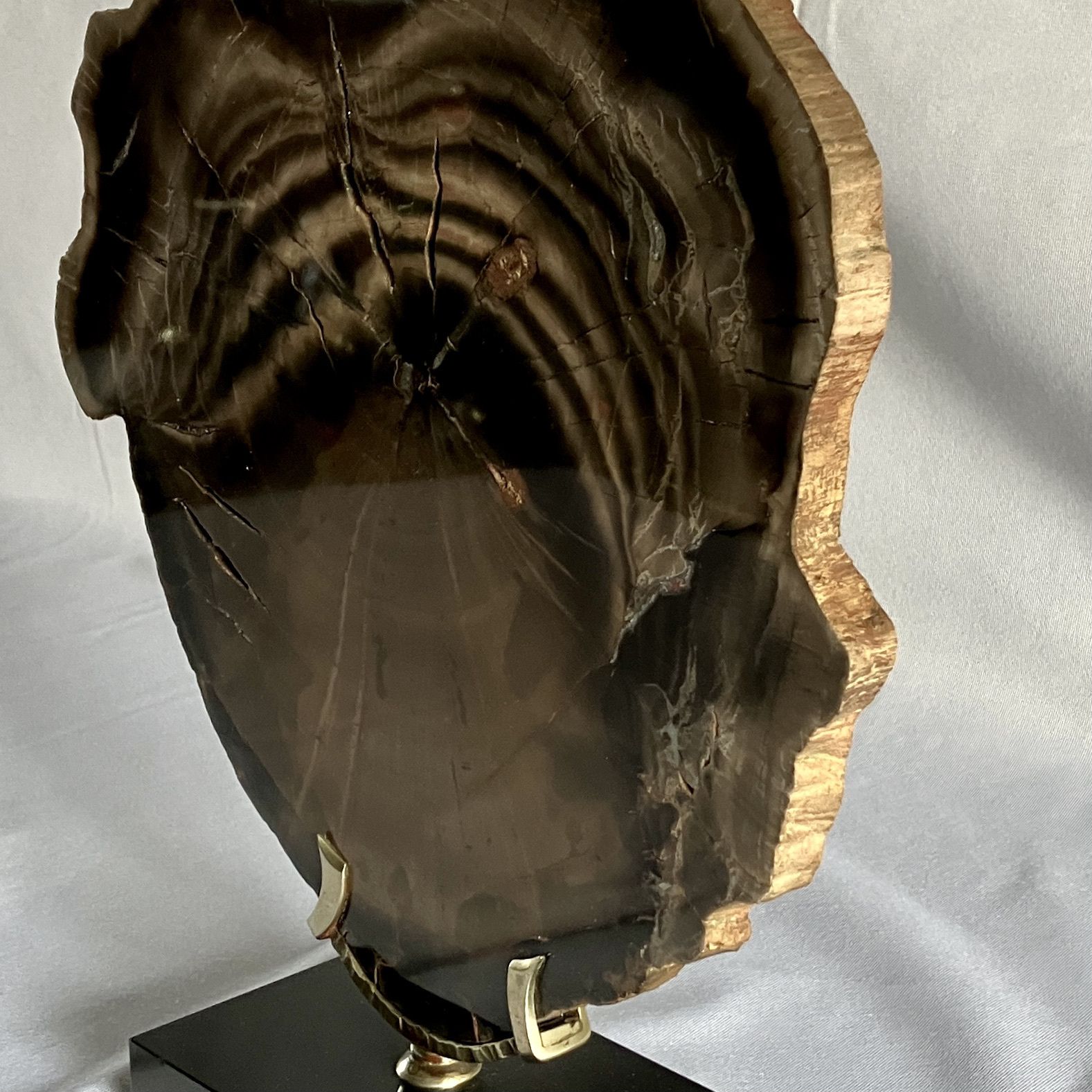 A Large Fossilised Or Petrified Wood Specimen, Polished And Mounted On A Bespoke Stand, Circa 120 To 240 Million Years Old photo vinterior