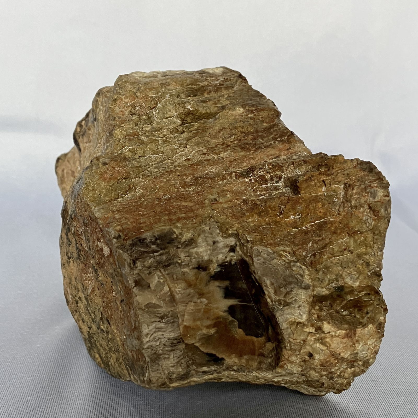 A Small Fossilised Or Petrified Wood Specimen, Polished And Mounted On A Perspex Stand, Circa 120 To 240 Million Years Old photo vinterior
