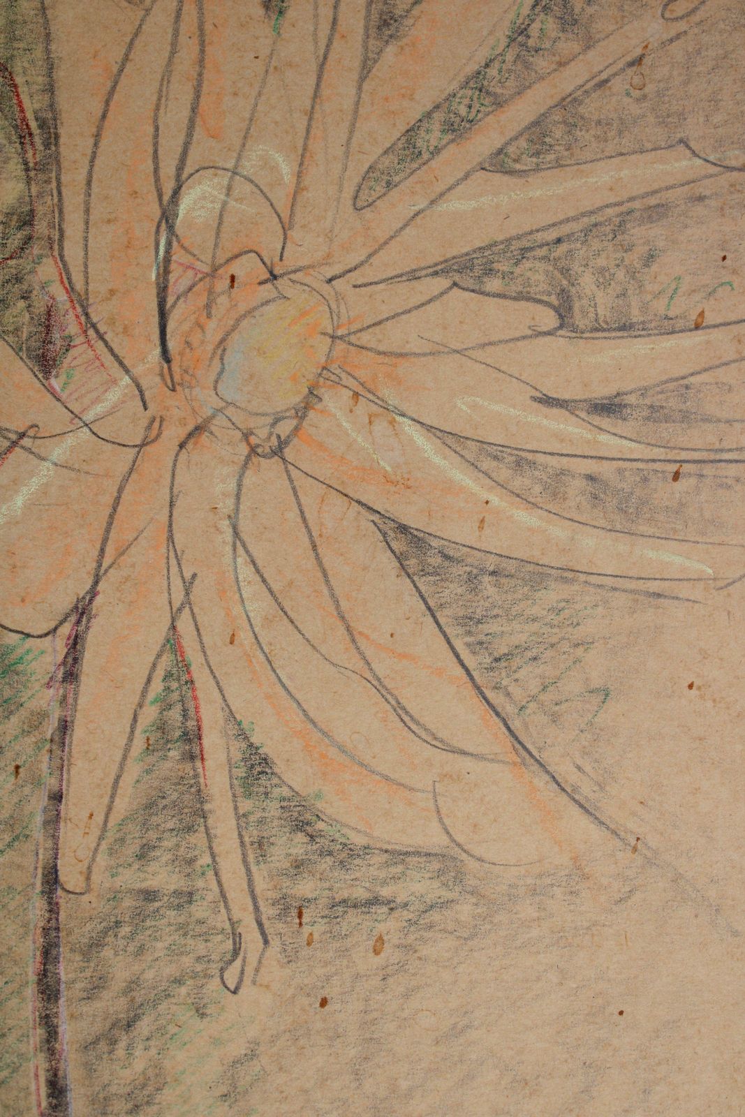 Victor Karnauh Flower. Paper, Pastel 33x27 Cm photo for sale