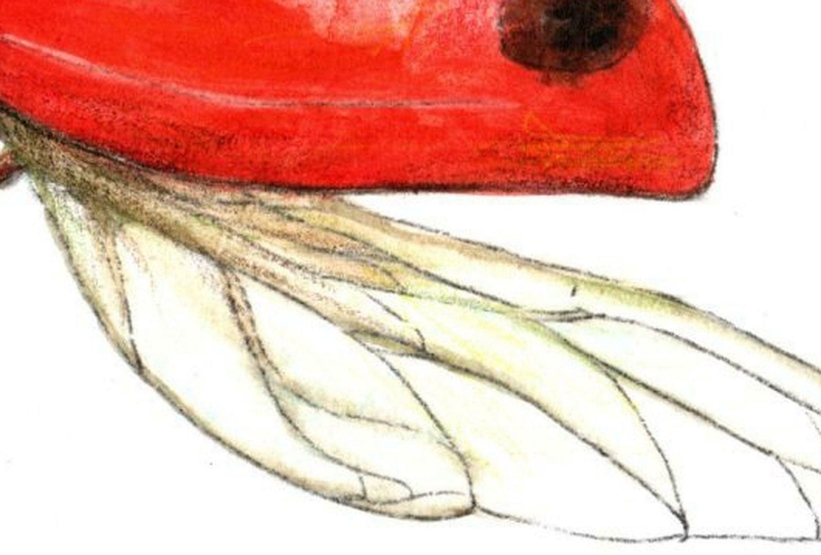 Juris Utans Flying Ladybug. Paper, Mixed Media, 21x30 Cm 2020 photo Art