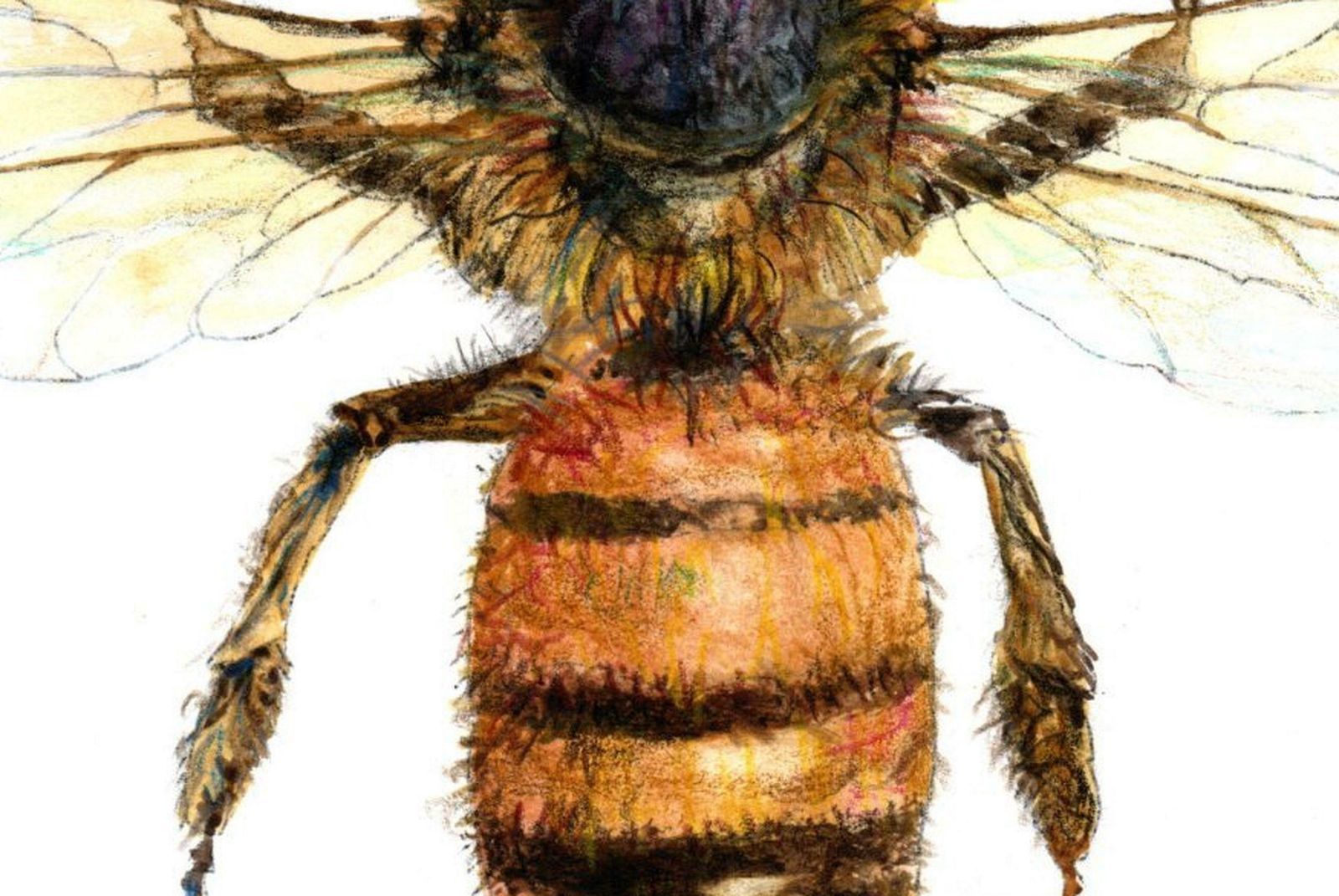 Juris Utans Bee From The Top. Paper, Mixed Media, 30x21 Cm 2020 photo furniture