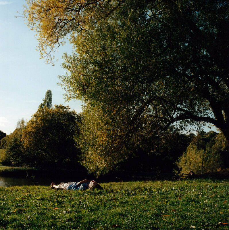 Classic Size, Basking On The Heath, Hampstead Heath, 2022 photo furniture