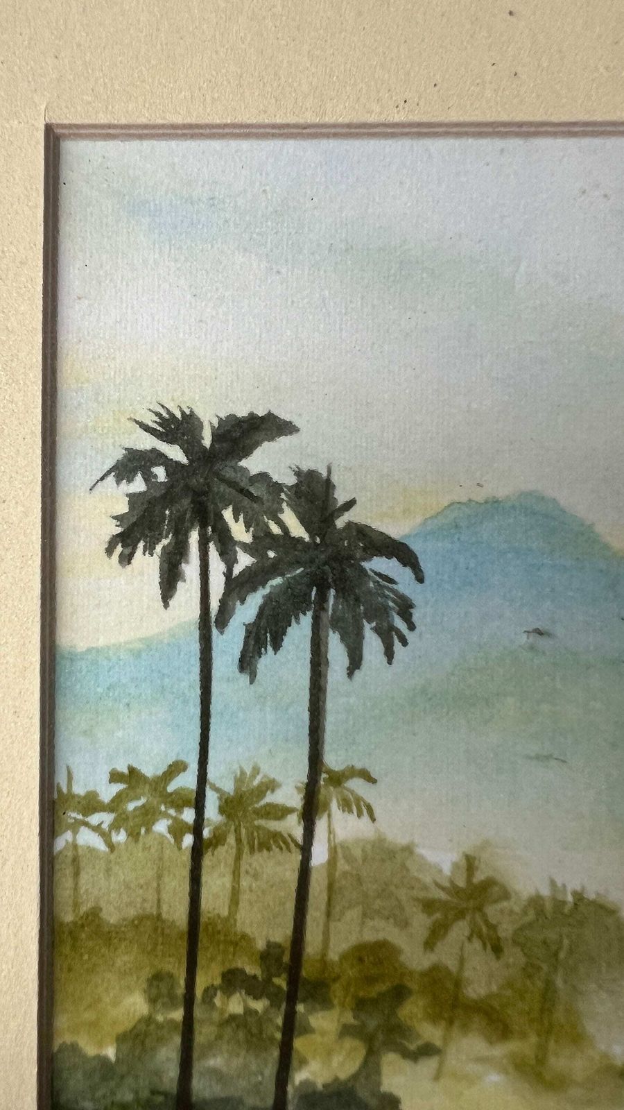 Original Framed And Signed Watercolour Painting Depicting Indonesian Nature photo 89.0
