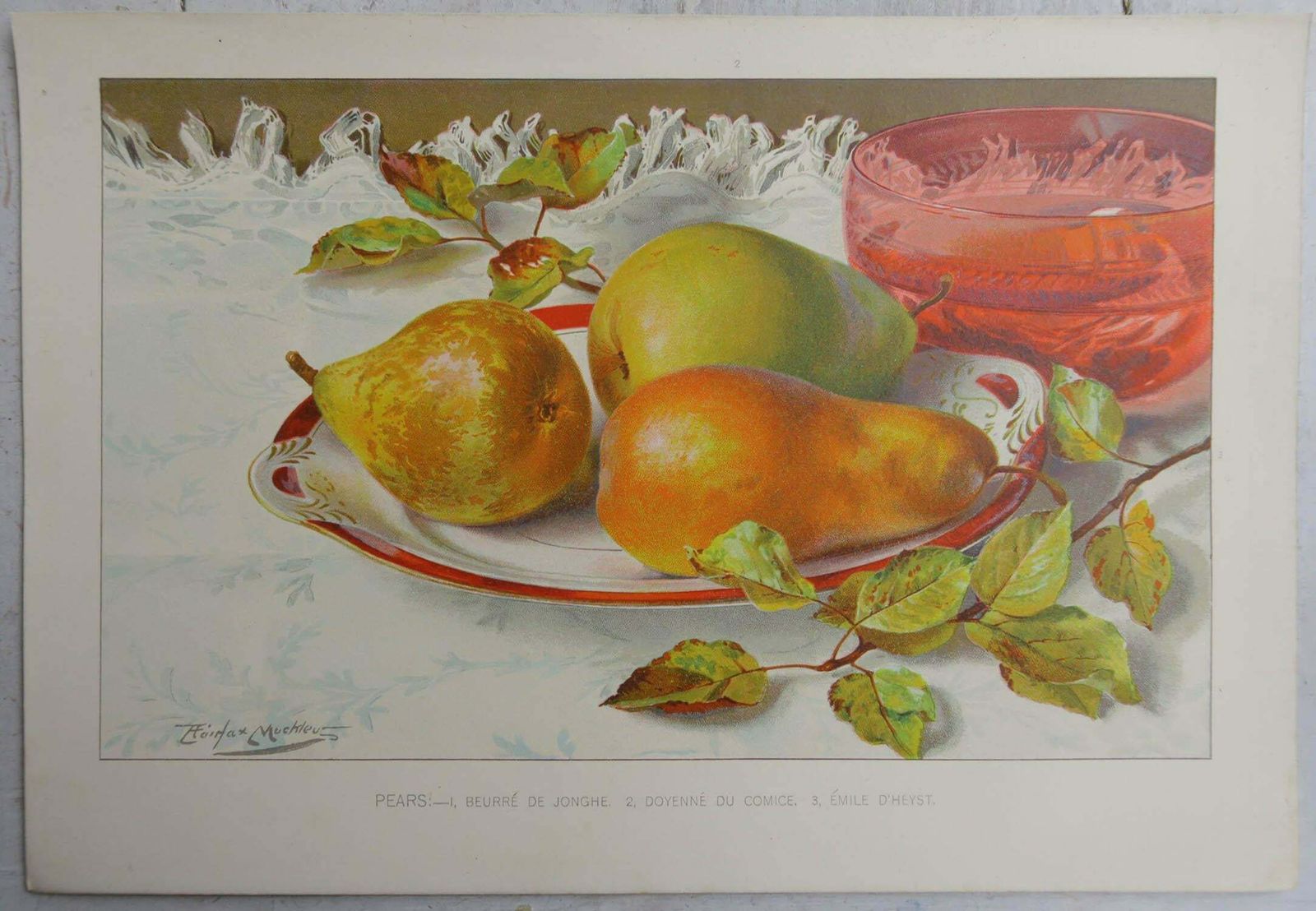 Pair Of Original Antique Fruit Prints   Apples And Pears, C. 1900 photo Art