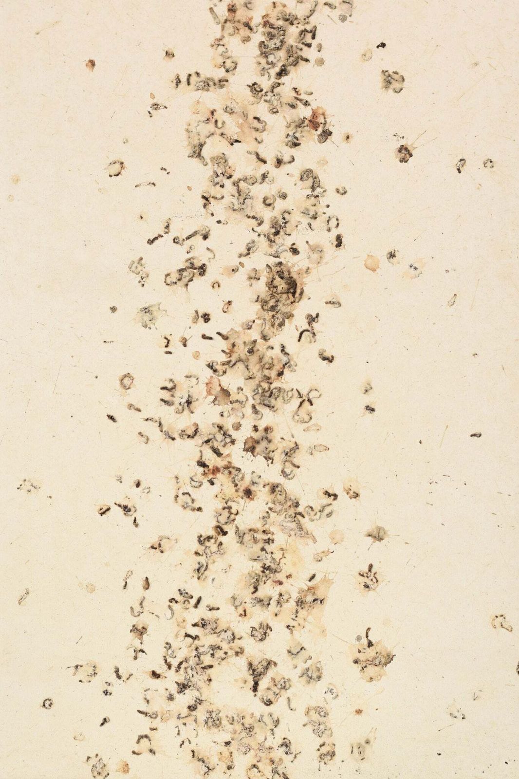 Volgeling Van Dan Colen – 'Untitled (Bird Shit)' photo vintage