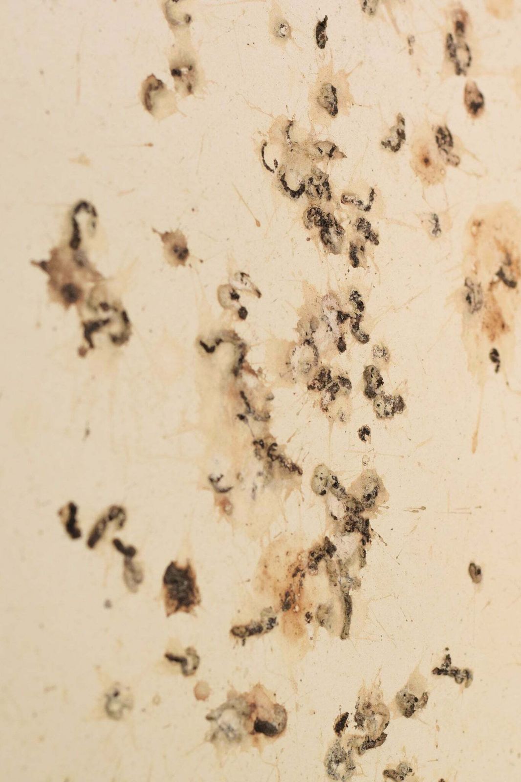 Kunst Volgeling Van Dan Colen – 'Untitled (Bird Shit)' photo