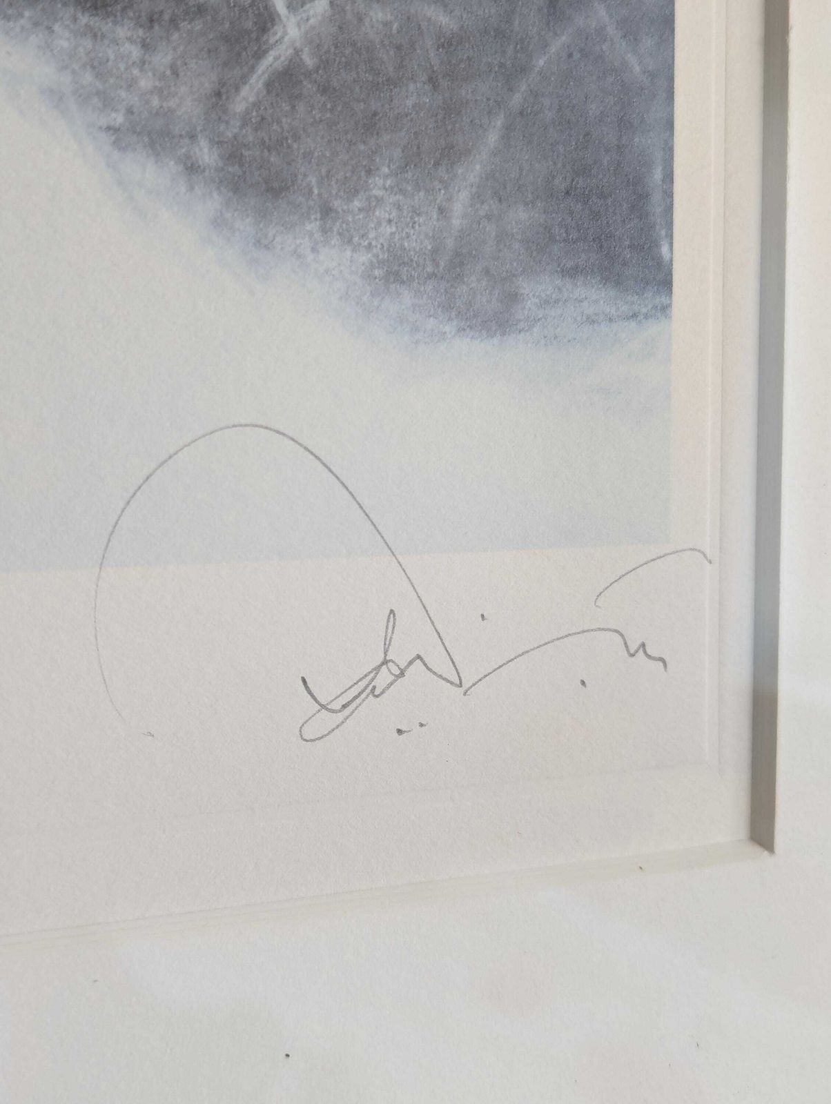Charles Willmott, Miyako Yoshida II, Signed Limited Edition Print, Framed, C.O.A. photo Art