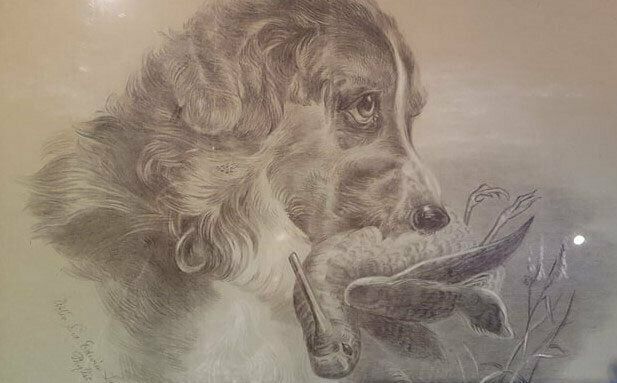 Pencil Study By Phyllis M. Wise   Dog With Snipe photo Art
