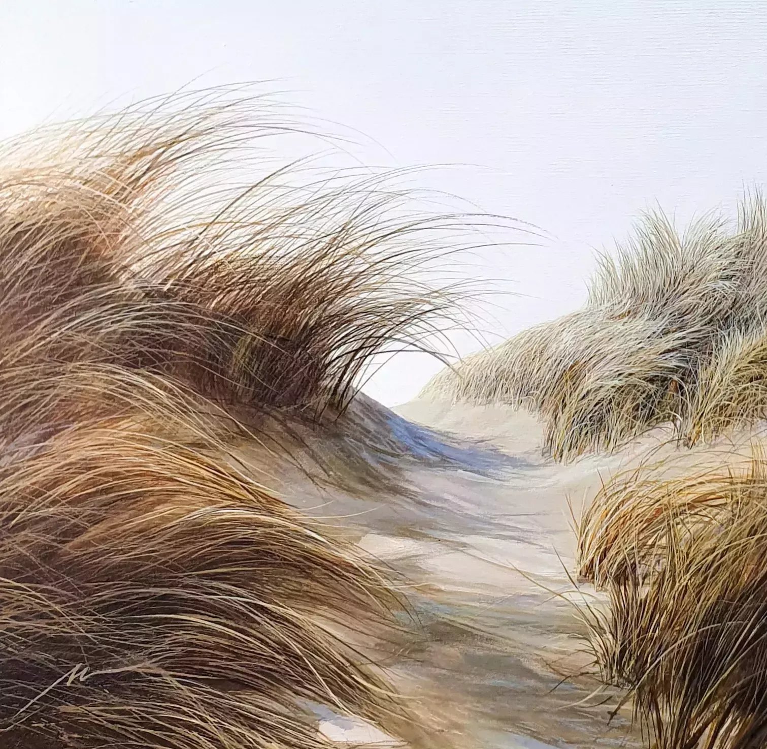 The Laughter Of The Wind Dances On The Tips Of The Sedges