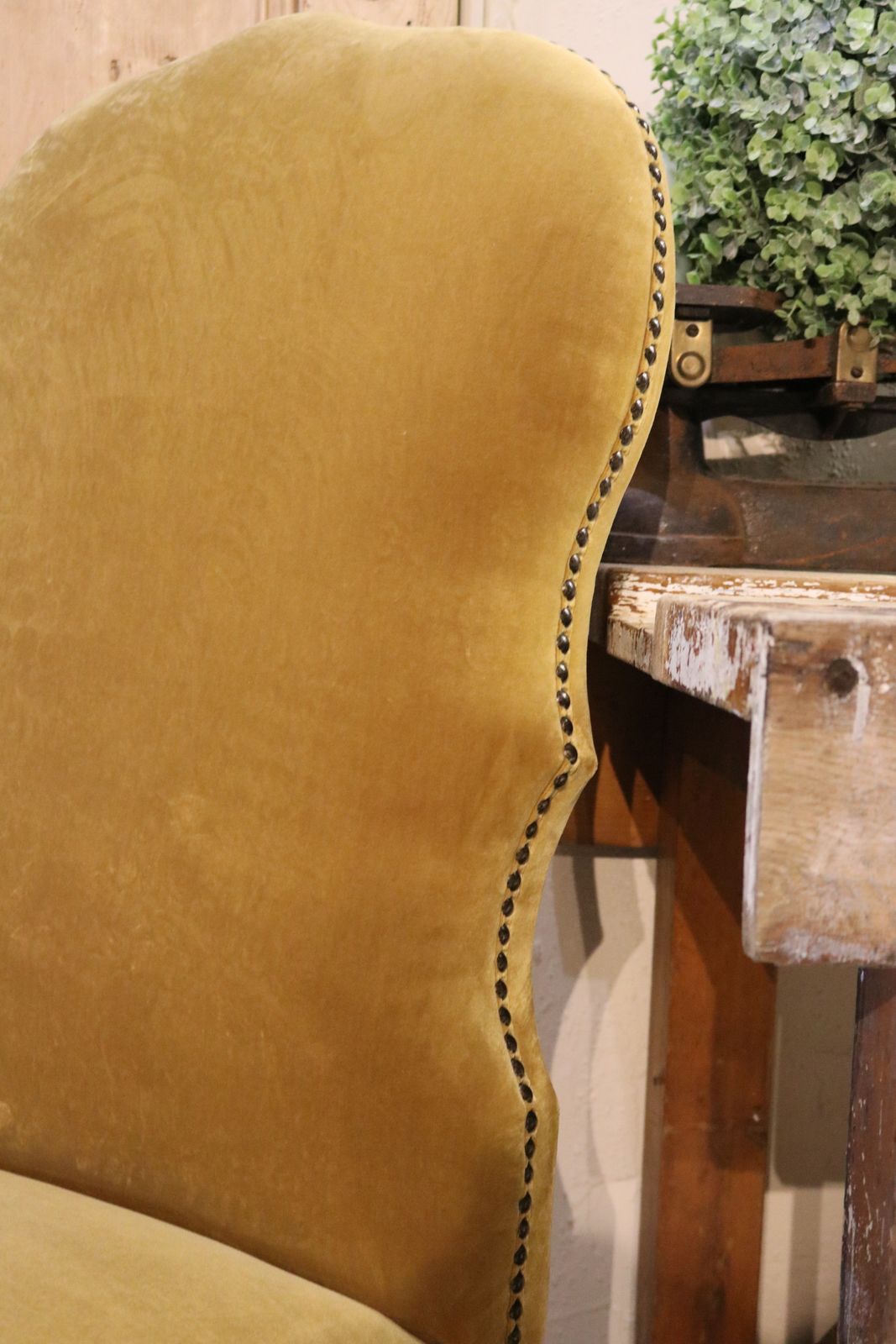 4 X India Jane Gold Velvet Dining Chairs photo buy