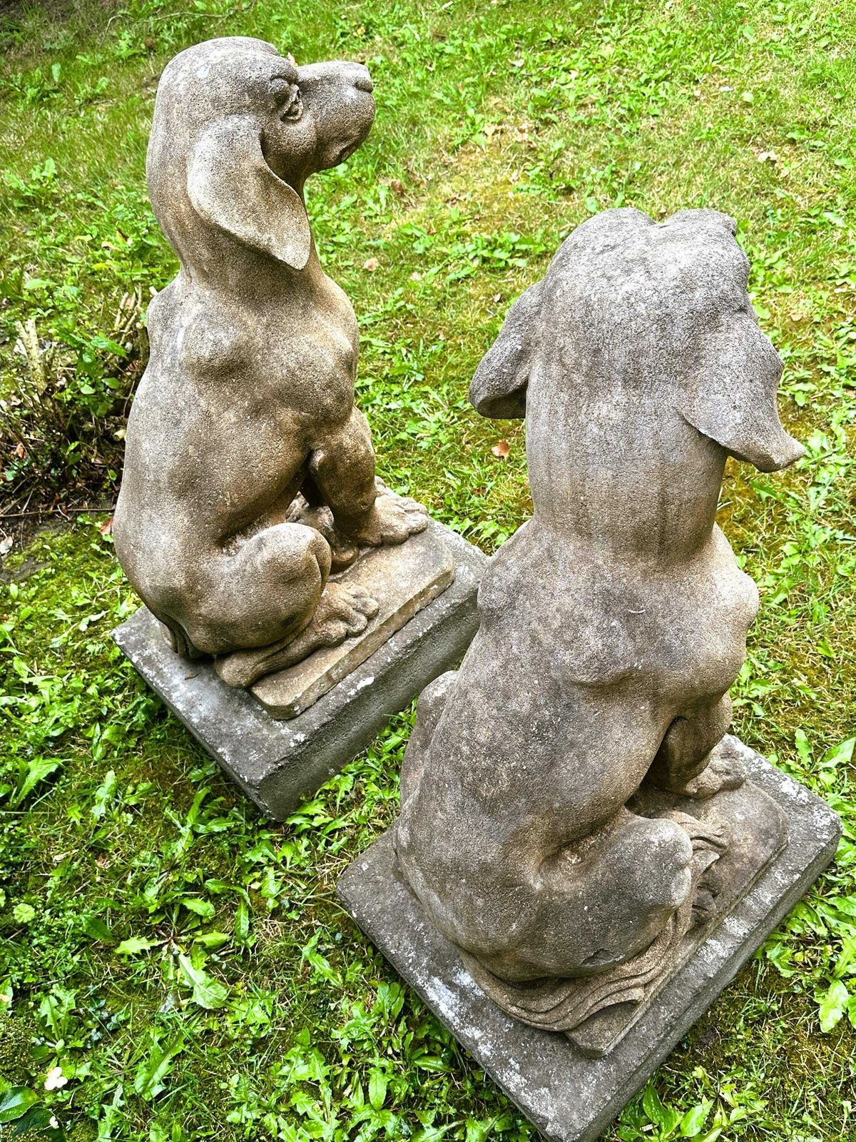 Paar Zeer Grote Stenen Honden, Kalksteen, Frankrijk Ca. Jaren 1940. photo vintage