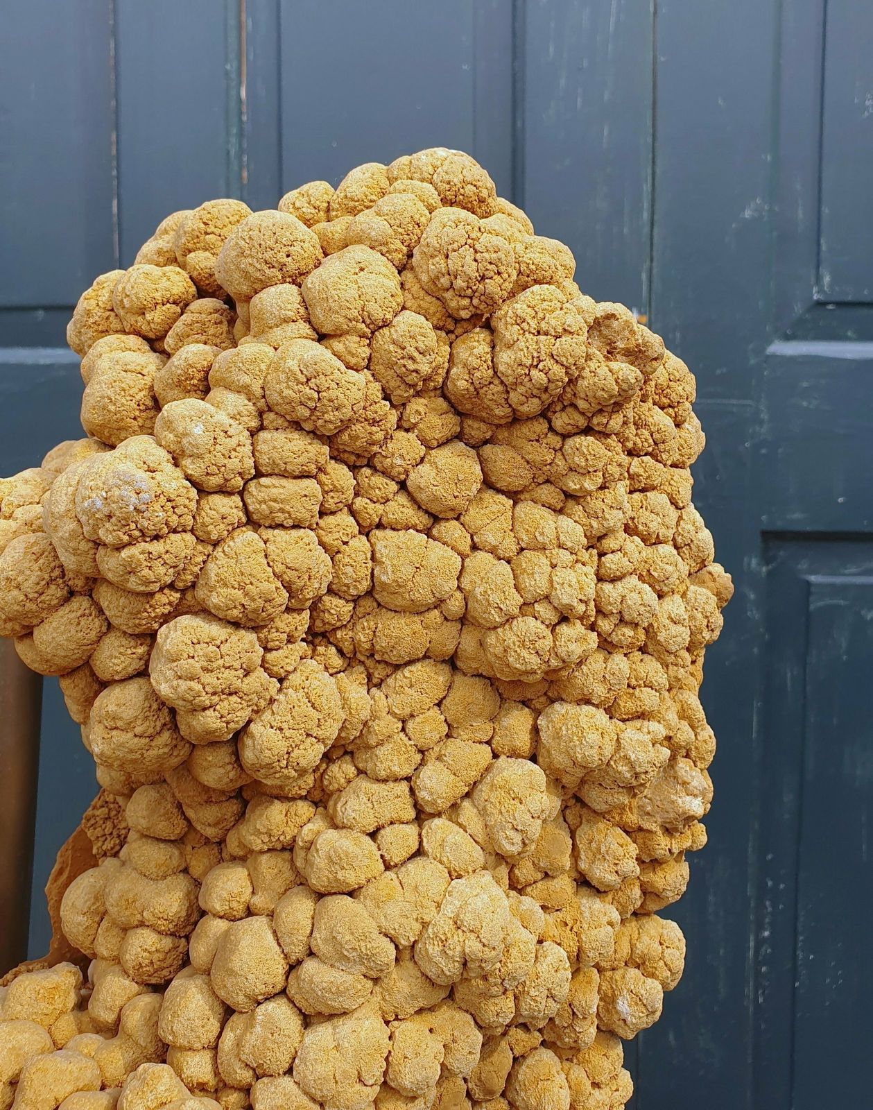 photo for sale Large Sculptural Rock Specimen (Scholar Stone)