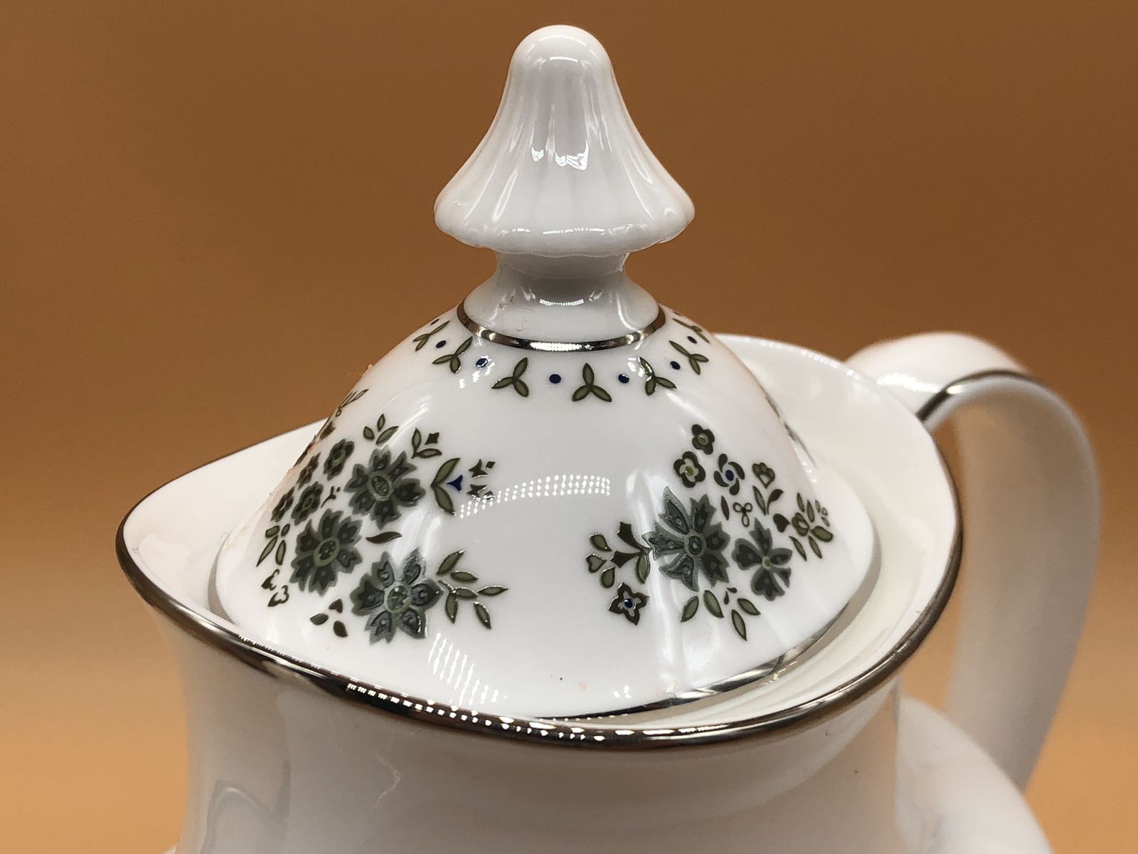 Royal Doulton China Valley Green Design 2 Pint Capacity Coffee Pot. H5015. photo vinterior