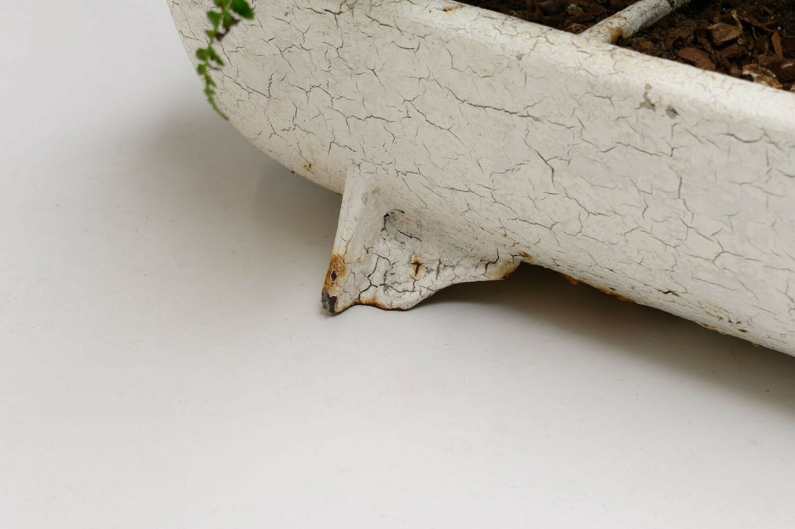 Cast Iron Planter, 1900s, Antique photo for sale