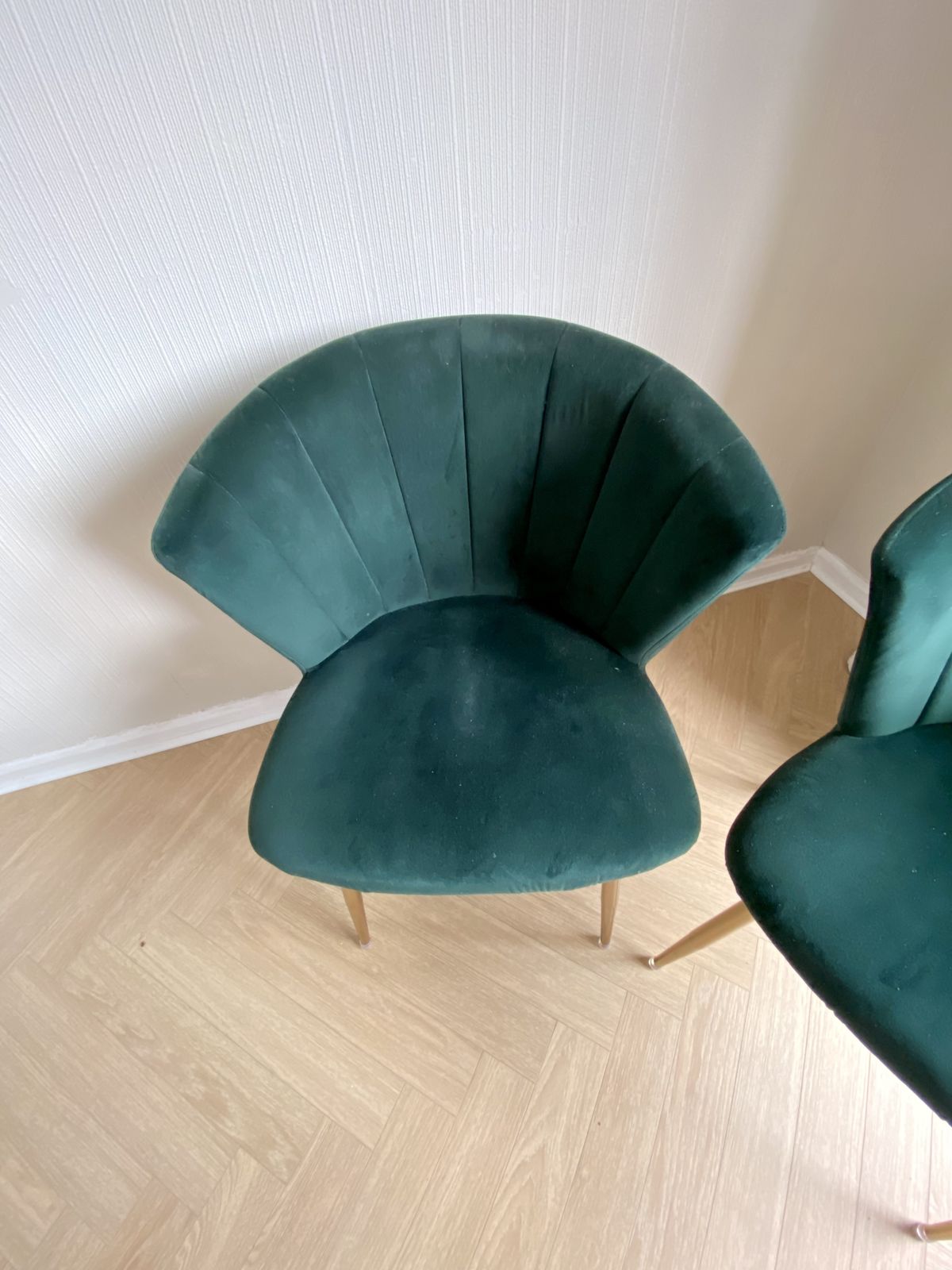 Modern Green Scallop Side, 2x Chair  Comfortable & Stylish Accent Seating photo 100.0