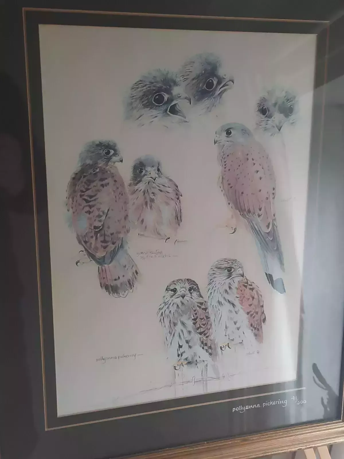 Pollyanna Pickering Limited Edition Birds Of Prey Kestrel 41 / 500 photo furniture