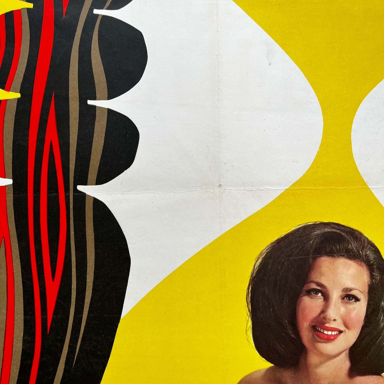 B R Poster   Hampshire, 1960s, Vintage photo Art