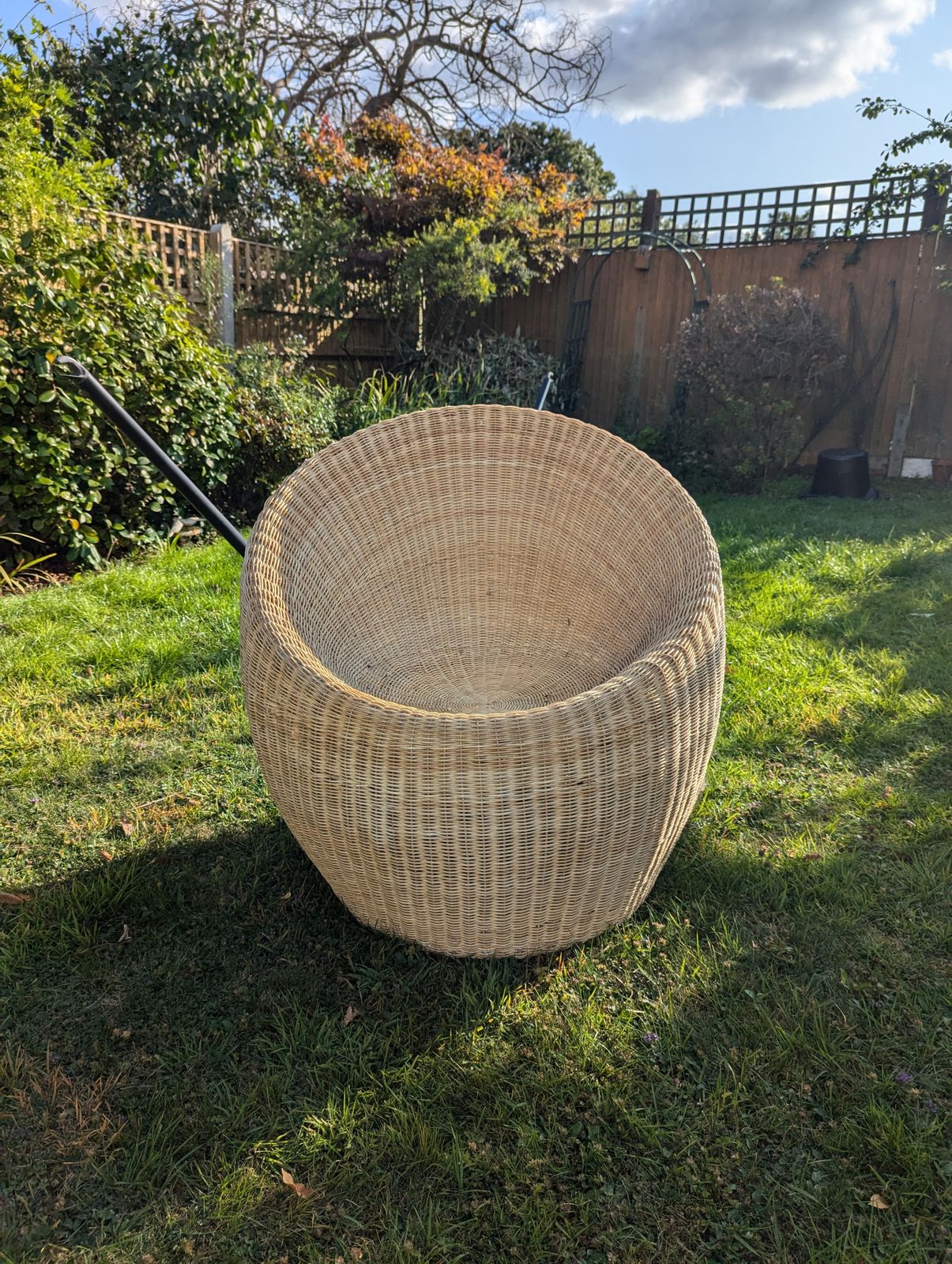 Rattan Egg Chair photo for sale